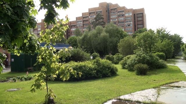 Наша зелёная Планета смотреть онлайн
