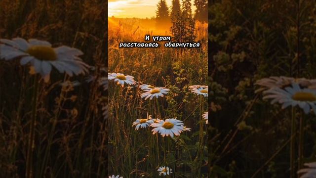 Эдуард Асадов — Как много тех, с кем можно лечь в постель #Стих