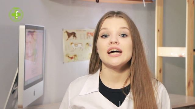 Бывают ли трехцветные коты мальчики / Почему трехцветный кот это редкость / Ветклиника «Био Вет» смотреть онлайн