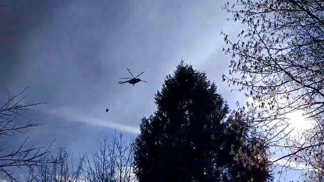 Пожар на территории двух СНТ в Кстовском районе смотреть онлайн