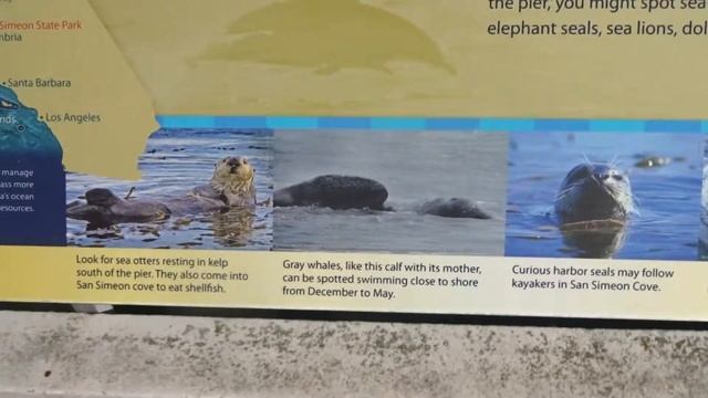 Военные Самолёты над Сан Симеон БИЧ(Калифорния)15/1/17 смотреть онлайн