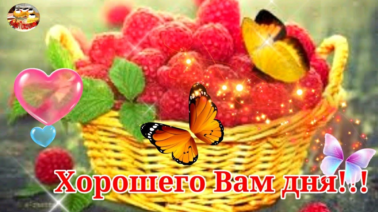 Хорошего Вам дня! Счастья, успеха! Музыкальное пожелание. смотреть онлайн