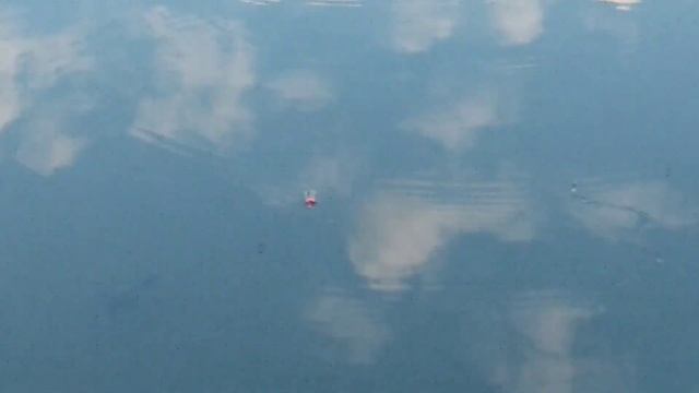 ПОЙМАЛИ МНОГО ОКУНЯ НА БОЛЬШОМ-КРУТОМ ПРУДУ/ВЕЧЕРНЯЯ РЫБАЛКА ВДАЛИ ОТ ДОМА! смотреть онлайн