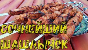 Сочный и вкусный шашлык из свинины на томатном соке. Рецепт шашлыка. Как вкусно приготовить шашлык.