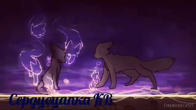 Клип коты воители смотреть онлайн