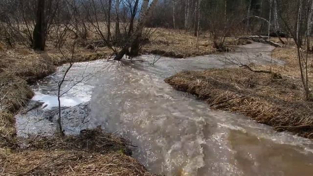 Весна 2016. Речка Малый Бор 1 смотреть онлайн