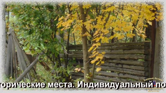 Зарисовки Лосиный Остров смотреть онлайн