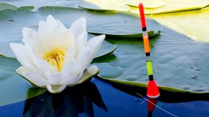 Поплавочная снасть для дальнего заброса. Два варианта монтажа.