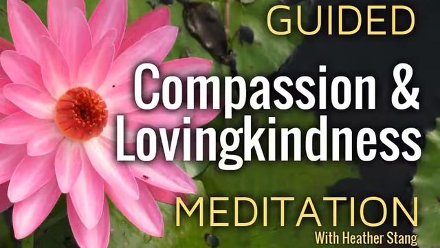 Guided Compassion Meditation (Metta) смотреть онлайн