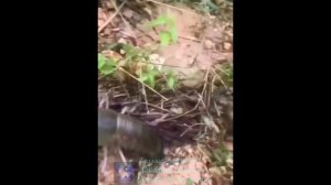 Рыбалка. Любите раков.