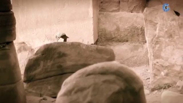 Dan Gibson intruduces "The Sacred City" #Full #HD #documentary about the real birth place of #Islam смотреть онлайн
