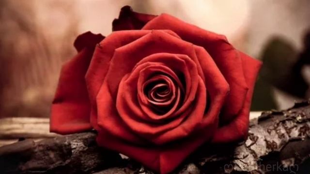 Адвайта - в комнате дым смотреть онлайн