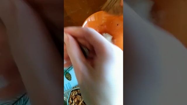 Лакомство для птиц ? Счастливые клювики?️ смотреть онлайн