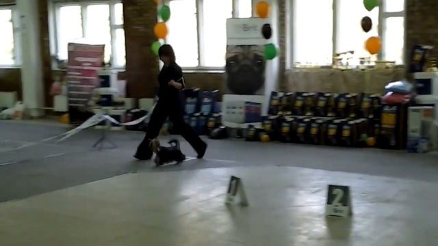 28.10.12 Всероссийская выставка Тольятти