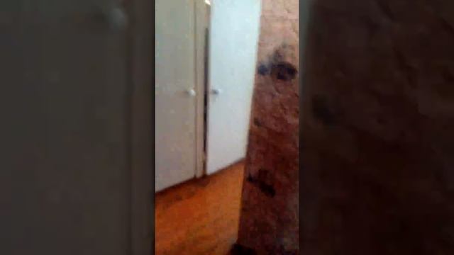 Мама моет полы, а Лиза задерает ноги смотреть онлайн
