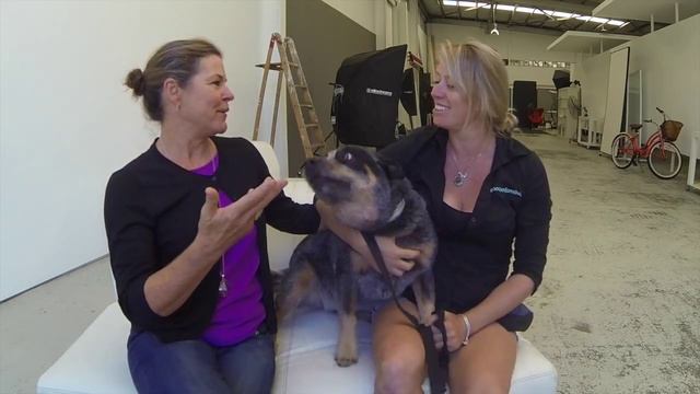 Janet Craig Photographer VLOG #4