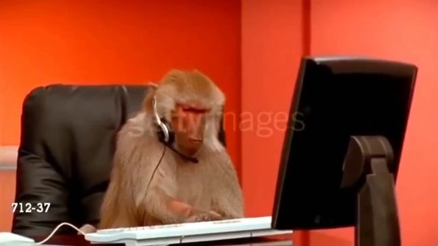 ПРИТВОРИЛСЯ БОТОМ НА СИЛЬВЕРАХ (CS:GO) смотреть онлайн