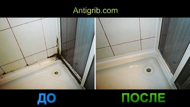 Удаление грибка и плесени смотреть онлайн