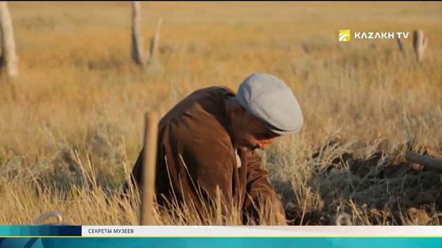 Музей воды смотреть онлайн