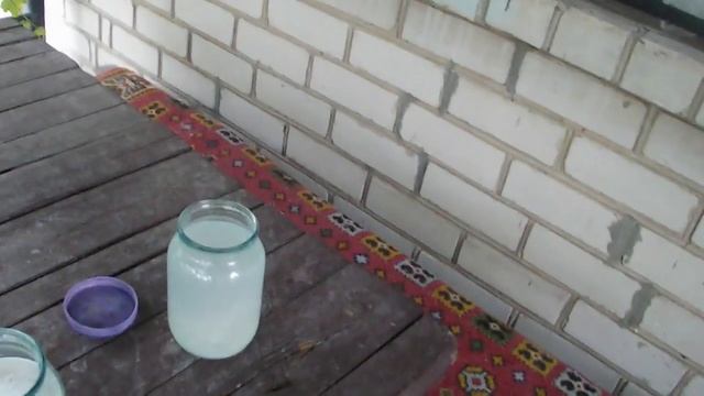 ОБЗОР ВИНОГРАДА В КОНЦЕ ИЮЛЯ . ЧАСНОЧНЫЙ НАСТОЙ ЧУДО СРЕДСТВО ОТ ОИДИУМА смотреть онлайн