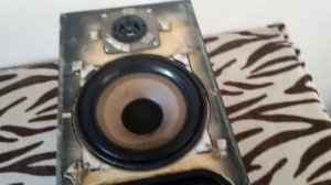 Электроника 25 АС - 128. Простое восстановление отличной акустики