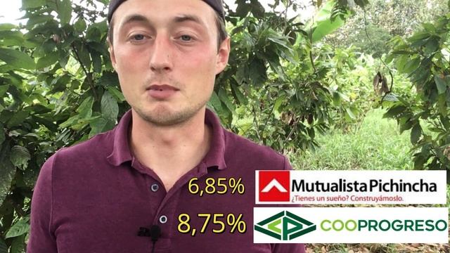 БАНКИ ЭКВАДОРА РЕЙТИНГ И ПРОЦЕНТЫ ПО ДЕПОЗИТАМ смотреть онлайн