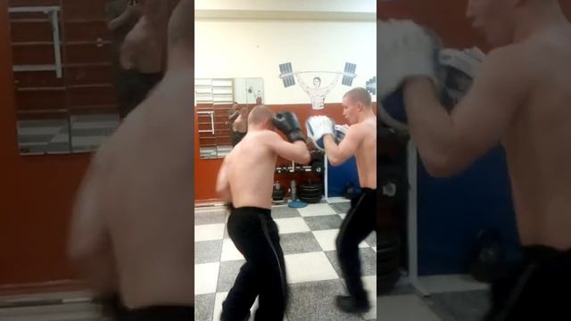 КМС ПО БОКСУ ГОТОВЯТСЯ В ПРОФЕССИОНАЛЬНУЮ ЛИГУ КУЛАЧНЫХ БОЁВ Hardcore Fighting Championship ? смотреть онлайн