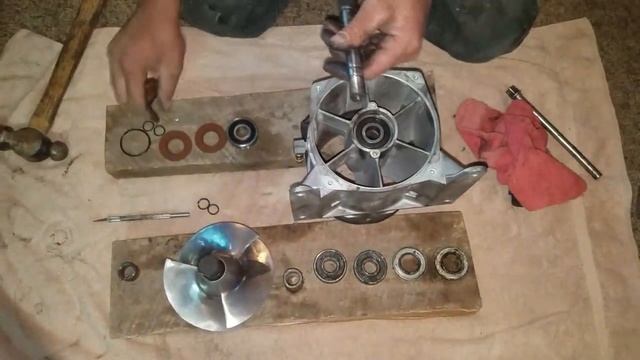 Kawasaki 1994 750 ST Jet Ski | How to video | New Butte Jet Ski Impeller Repair | Fast Fix | Quick смотреть онлайн