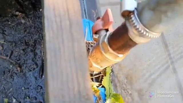 107. Выкопал чеснок. Опыляю гладиолусы. Сорвало кран..mp4 смотреть онлайн