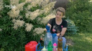 Газон без одуванчиков. Как избавиться от одуванчиков на газоне