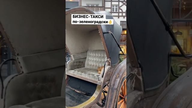 Зеленоградск—город котов🐈 Находится в Калининградской области. смотреть онлайн