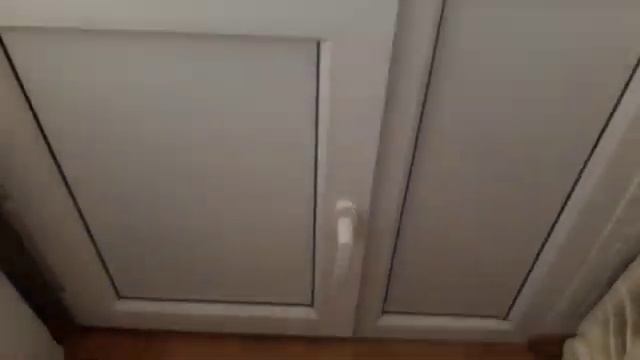 Как добиться цветения Гиппеаструма#Амариллиса. Мой опыт. Так цветет мой гиппеаструм в феврале 2020. смотреть онлайн