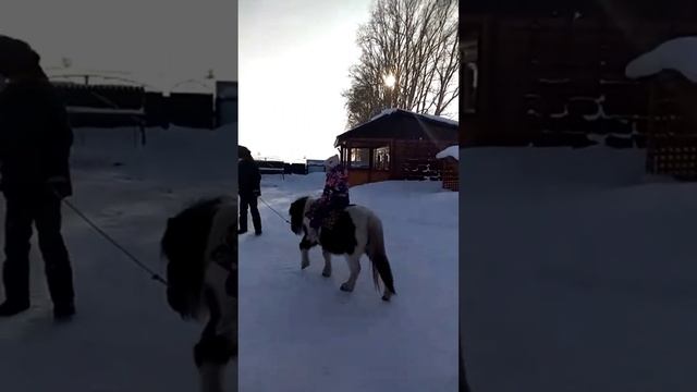 Путешествие в лебединый заказник смотреть онлайн