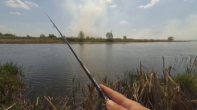"Идёт бычок качается!" РЫБАЛКА НА СПИННИНГ! Ловля щуки на воблеры! смотреть онлайн
