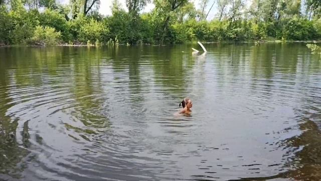 Купание в протоколе реки Енисей смотреть онлайн