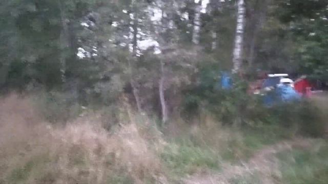 Озеро Старое Орловское полесье