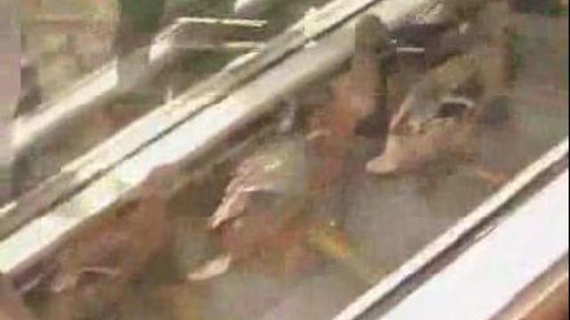 Утиный шоппинг смотреть онлайн