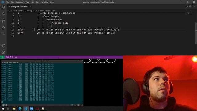 PEAK PCAN-View walkthrough смотреть онлайн