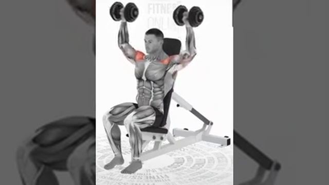 Жим гантелей сидя