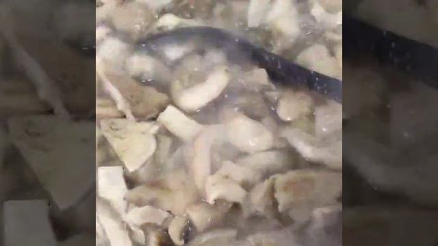 Поющая Сковородка