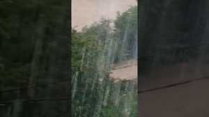 Туапсинский район, посёлок Тюменский 12.07.2023