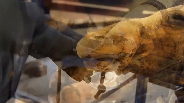 Щипцы для копыт коров