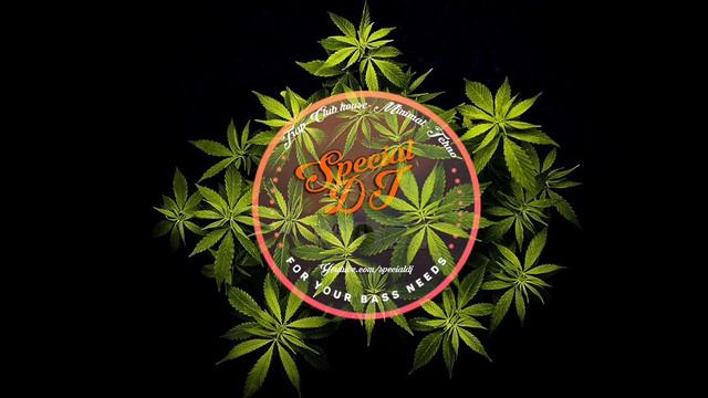 Dj Maniak Mc Rybik Barskii смотреть онлайн