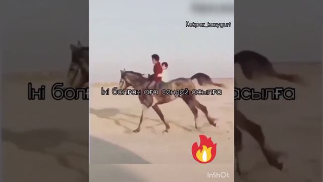 интернете хит болған аттар😨😱 смотреть онлайн