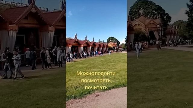 Летний сад, Спас На Крови, Казанский Собор СПб ❤️ смотреть онлайн