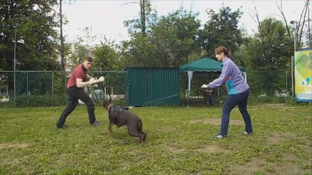 Адал Эскер Грандесса (9 месяцев), 2-е занятие по ЗКС смотреть онлайн