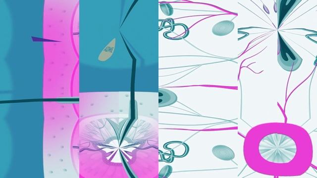 Путешествие по нервной системе человека смотреть онлайн