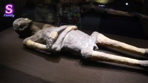 НАСТОЯЩАЯ МУМИЯ !!! Музей Тутанхамона в Шарм-Эль-Шейх Египет