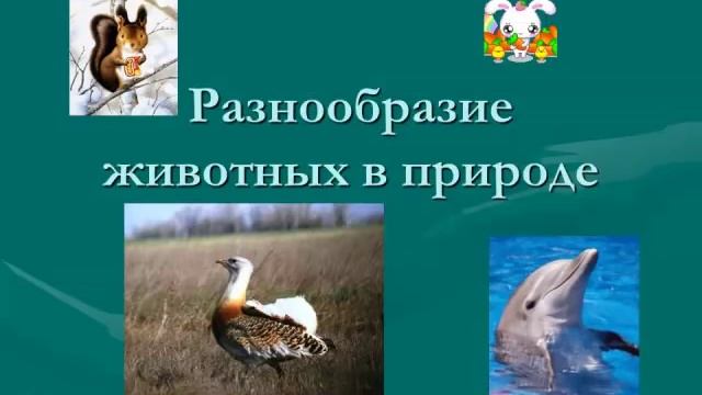 Строение растений 3 класс. смотреть онлайн