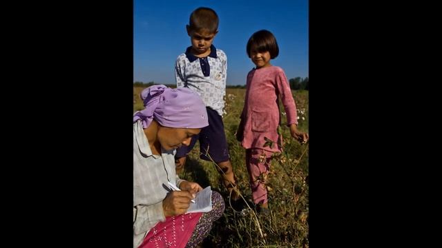 Хлопок - Пахта смотреть онлайн